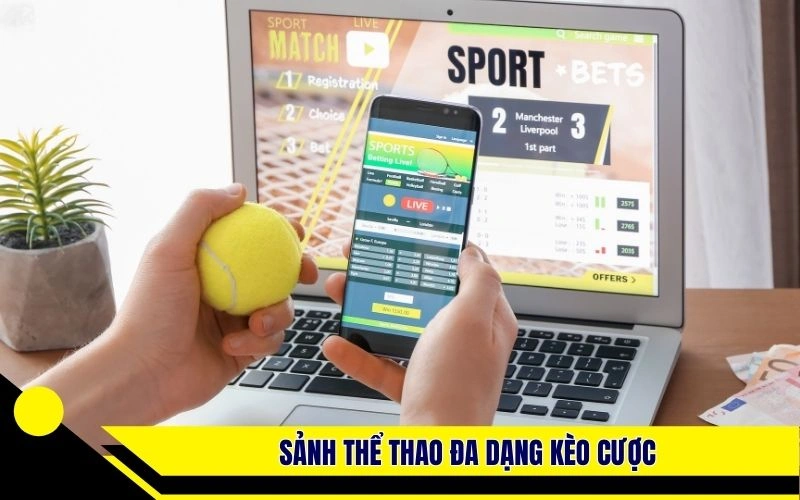 Sảnh thể thao đa dạng kèo cược