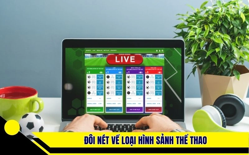 Đôi nét về loại hình sảnh thể thao