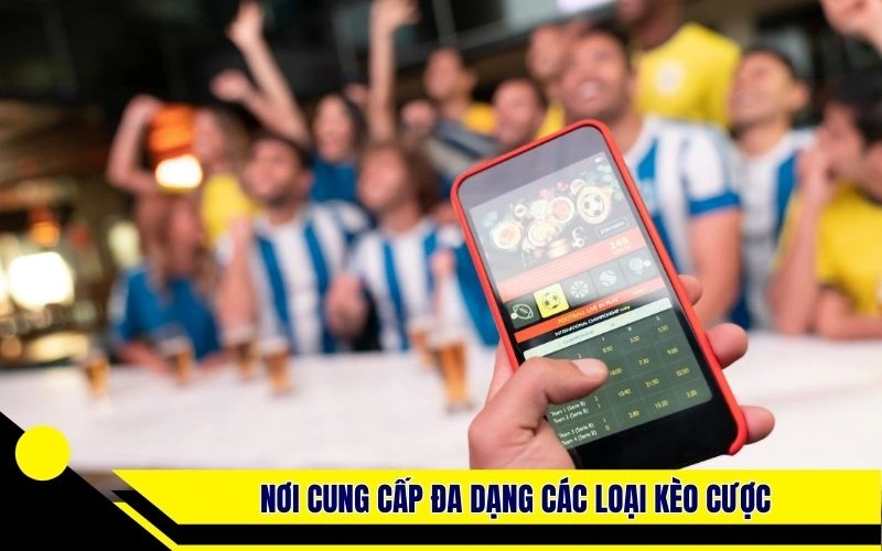 Nơi cung cấp đa dạng các loại kèo cược