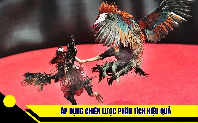 Áp dụng chiến lược phân tích hiệu quả