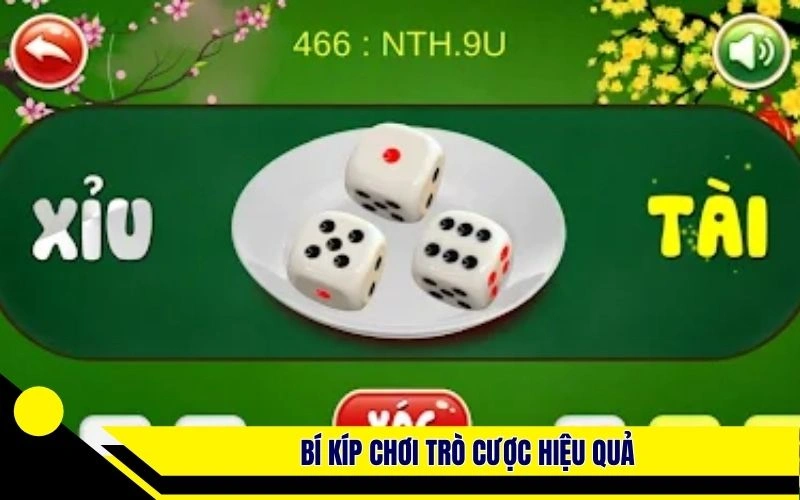 Bí kíp chơi trò cược hiệu quả