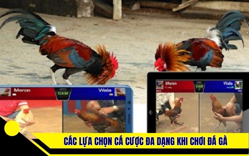 Các lựa chọn cá cược đa dạng