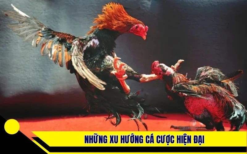 Những xu hướng cá cược hiện đại